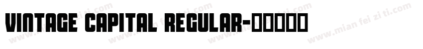 Vintage Capital Regular字体转换